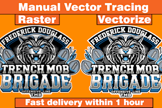 perfectly trace logo or image in vector quickly