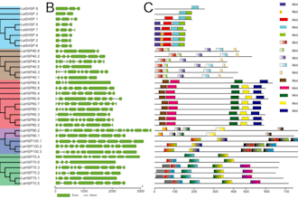 do bioinformatics, plant genetics data analysis by r