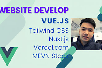 fix bugs or develop website using vuejs, nuxtjs