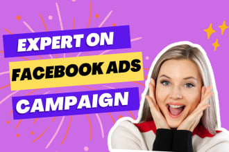do setup and manage facebook ads campaign