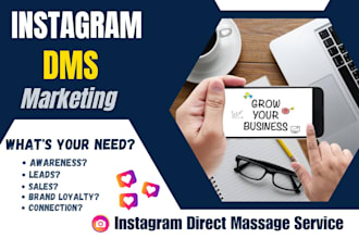 provide targeted instagram dms or direct messaging service using manual outreach