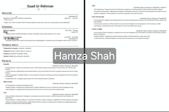 write an ats friendly professional resume