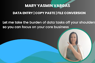 do data entry copy paste and file conversion