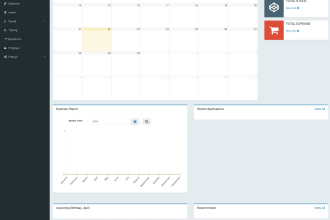 create web based hrm system for you