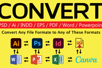 convert any files to indesign photoshop illustrator PDF eps PSD ai PPT