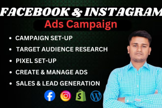 set up and manage facebook and instagram  ads campaign