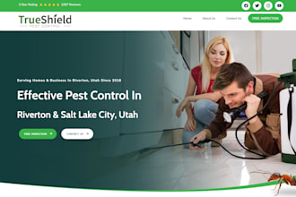 do wordpress website development, creative landing page