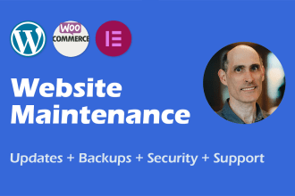 provide wordpress maintenance and support