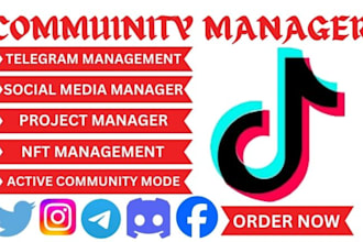 be community manager telegram discord tiktok moderator virtual assistant