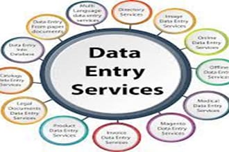 do the data entry of any kind