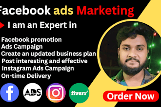 do fb advertising, fb ads campaign, instagram ad and manage