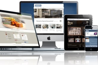 develop personal or business website