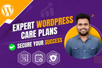 do monthly wordpress maintenance, content updates, support, and bug fixes