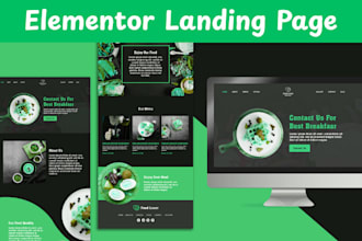 design a responsive elementor landing page