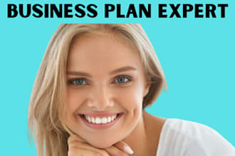 develop a complete investor ready business plan with a financial plan