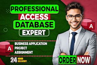 develop microsoft access database assignments and projects