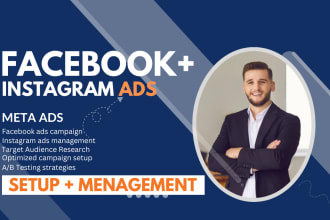 run  fb and insta meta ads campaign management