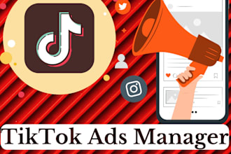 set up tik tok campaign for ads