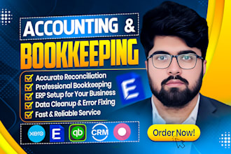 do setup, clean up, reconciliation and bookkeeping in any erp software