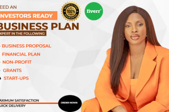develop a lucid investor ready business plan,  proposal, grants and pitch deck