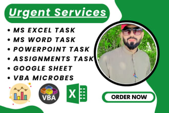 do urgently ms excel, ms word, excel assessment , and powerpoint presentations