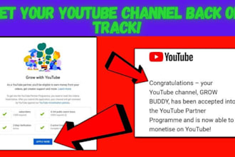 youtube partner program suspension or rejection appeal