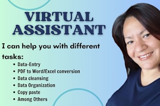 be your organized and punctual virtual assistant