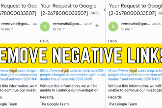 remove negative links, mugshot, bad links any negative link, articles out google