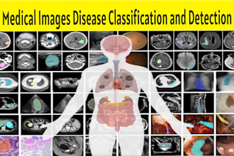 do medical image classification and detection in deep learning