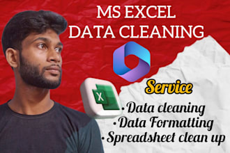 do ms excel data cleaning and formatting, data entry