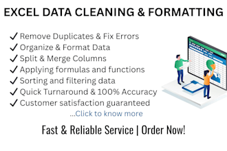 clean and format excel data professionally for better analysis