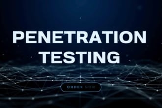 cyber security expert with penetration testing