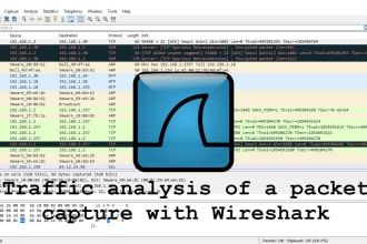 do network traffic analysis and linux tasks
