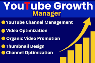 be youtube channel growth manager for video SEO and fixing monetization issue