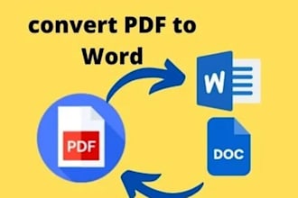 convert PDF into editable word file professionally