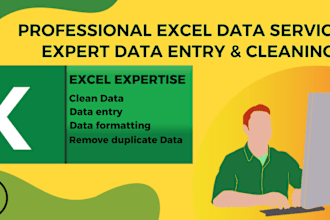 help microsoft excel data cleaning, data entry, google sheet