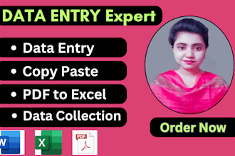 do data entry and copy paste job