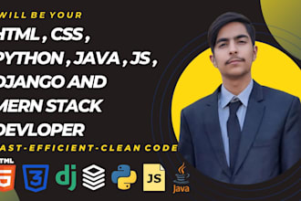 be your programmer of HTML , CSS  and python, js ,java and django
