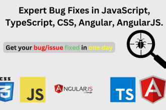 fix any bug in one day, angular, typescript, javascript, angularjs, CSS