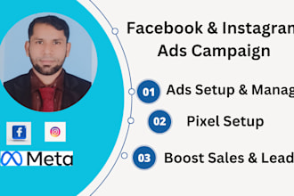 setup and manage facebook ads and instagram ads campaign