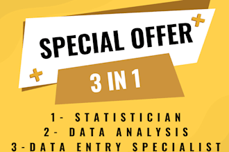 provide services of statistician, da and de