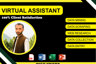 do data input, data extraction, email collection, data entry