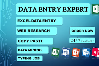 do data entry,ms excel data entry,copy paste, web research,typing job