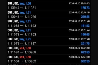 setup trading bot, forex trading bot, forex robot, forex bot, trading bot