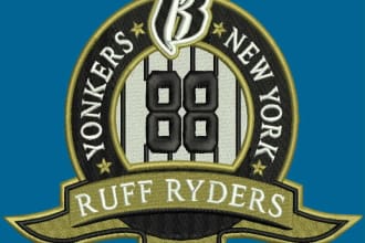 expert embroidery digitizing for logo designs fast tat