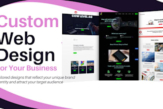 create a professional wordpress web site