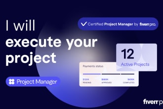 execute your project as a certified project manager by fiverr