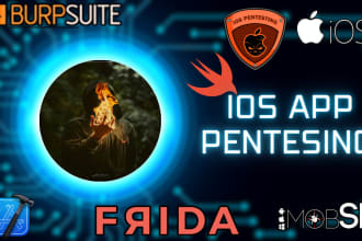 pentest ios applications with providing detailed reports