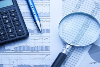 make financial statements, budgets and business plans