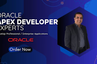 be your web developer specializing in oracle apex